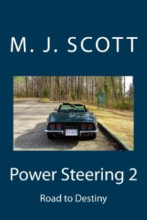 power-steering-2-cover-at-17-percent